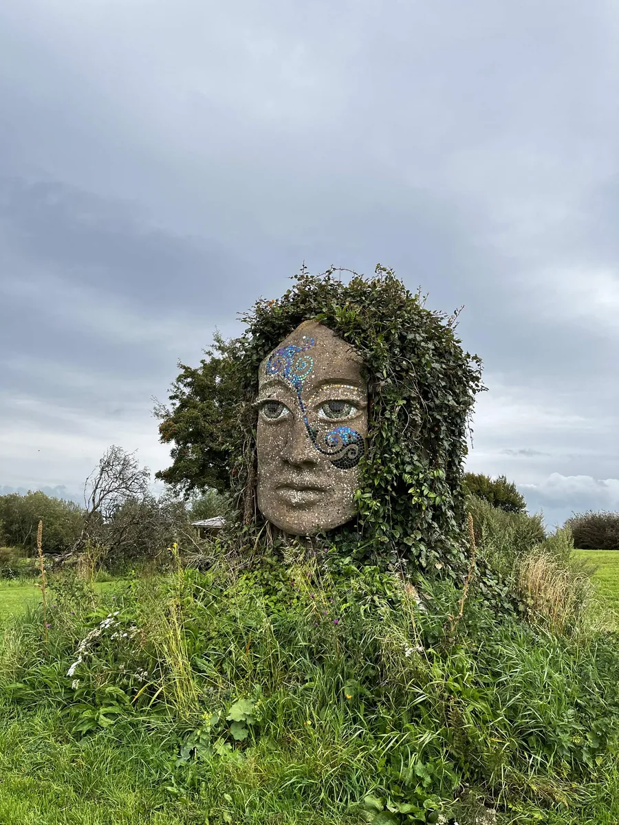 A carved stone face sculpture overgrown with ivy